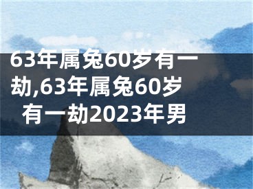 63年属兔60岁有一劫,63年属兔60岁有一劫2023年男