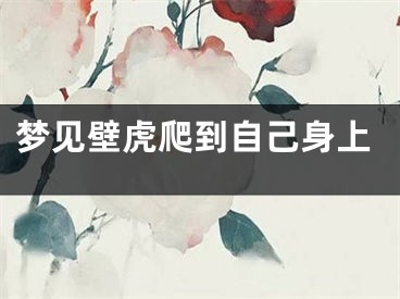 梦见壁虎爬到自己身上