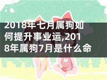 2018年七月属狗如何提升事业运,2018年属狗7月是什么命