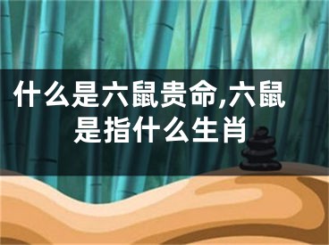 什么是六鼠贵命,六鼠是指什么生肖