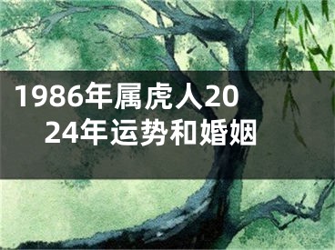 1986年属虎人2024年运势和婚姻