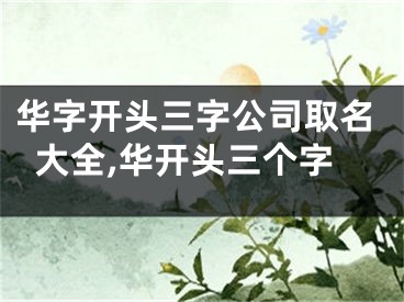 华字开头三字公司取名大全,华开头三个字