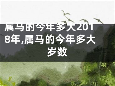 属马的今年多大2018年,属马的今年多大岁数