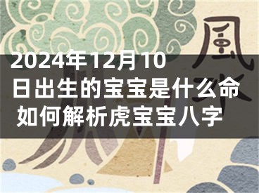2024年12月10日出生的宝宝是什么命 如何解析虎宝宝八字