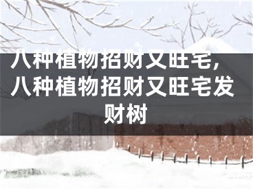 八种植物招财又旺宅,八种植物招财又旺宅发财树