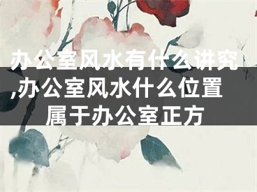 办公室风水有什么讲究,办公室风水什么位置属于办公室正方