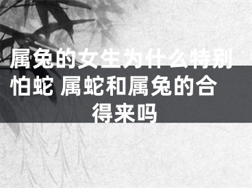 属兔的女生为什么特别怕蛇 属蛇和属兔的合得来吗