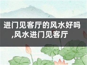 进门见客厅的风水好吗,风水进门见客厅