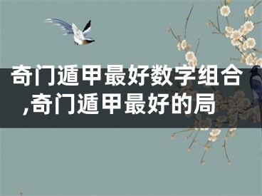 奇门遁甲最好数字组合,奇门遁甲最好的局