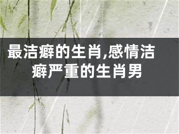 最洁癖的生肖,感情洁癖严重的生肖男