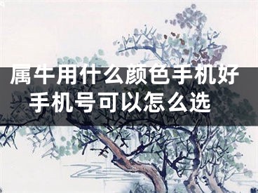 属牛用什么颜色手机好 手机号可以怎么选