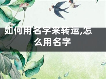 如何用名字来转运,怎么用名字