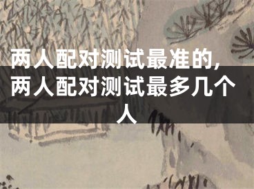 两人配对测试最准的,两人配对测试最多几个人