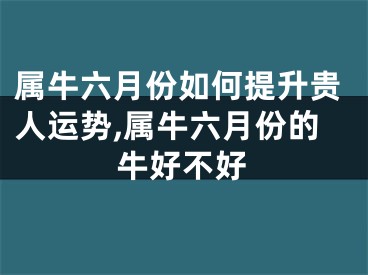 属牛六月份如何提升贵人运势,属牛六月份的牛好不好
