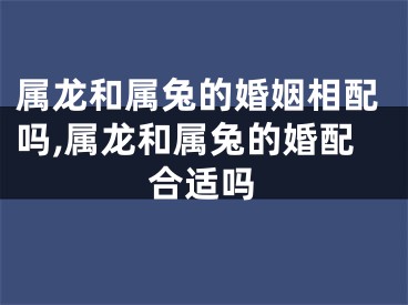 属龙和属兔的婚姻相配吗,属龙和属兔的婚配合适吗