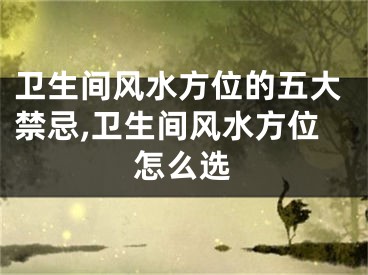 卫生间风水方位的五大禁忌,卫生间风水方位怎么选