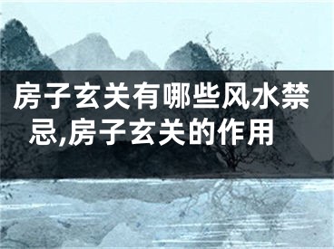 房子玄关有哪些风水禁忌,房子玄关的作用