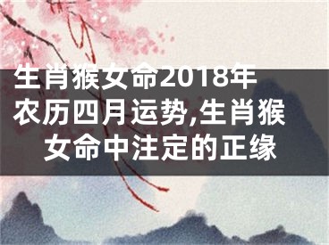 生肖猴女命2018年农历四月运势,生肖猴女命中注定的正缘