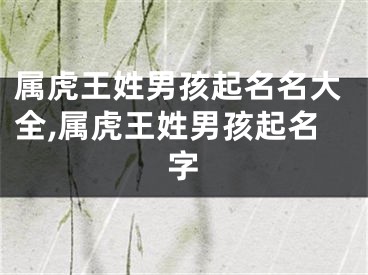 属虎王姓男孩起名名大全,属虎王姓男孩起名字