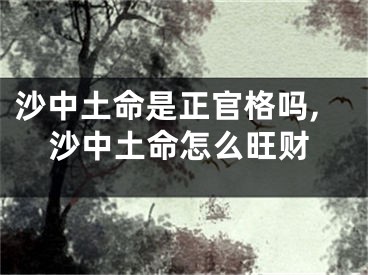 沙中土命是正官格吗,沙中土命怎么旺财