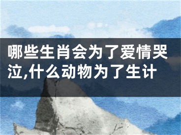 哪些生肖会为了爱情哭泣,什么动物为了生计