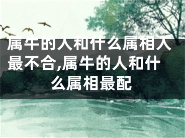 属牛的人和什么属相人最不合,属牛的人和什么属相最配