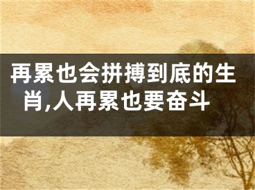 再累也会拼搏到底的生肖,人再累也要奋斗