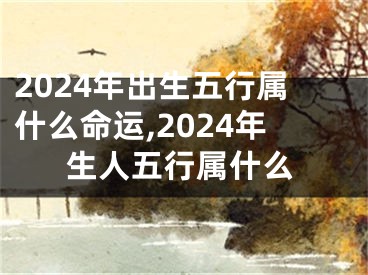 2024年出生五行属什么命运,2024年生人五行属什么