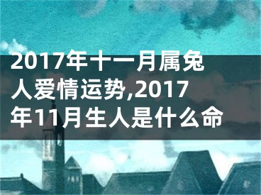 2017年十一月属兔人爱情运势,2017年11月生人是什么命