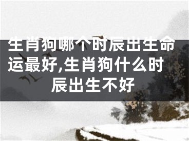 生肖狗哪个时辰出生命运最好,生肖狗什么时辰出生不好