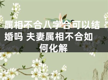 属相不合八字合可以结婚吗 夫妻属相不合如何化解
