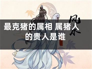 最克猪的属相 属猪人的贵人是谁