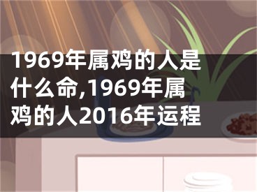 1969年属鸡的人是什么命,1969年属鸡的人2016年运程