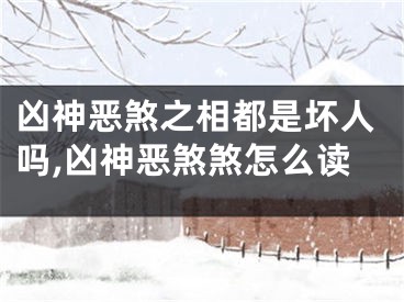 凶神恶煞之相都是坏人吗,凶神恶煞煞怎么读