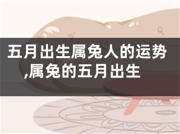 五月出生属兔人的运势,属兔的五月出生