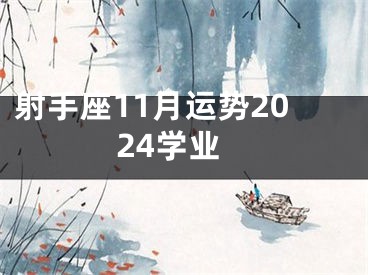 射手座11月运势2024学业