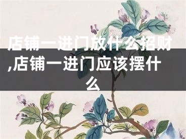 店铺一进门放什么招财,店铺一进门应该摆什么
