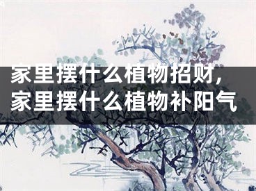 家里摆什么植物招财,家里摆什么植物补阳气