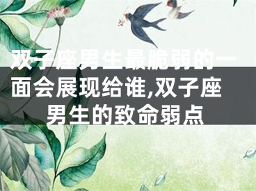 双子座男生最脆弱的一面会展现给谁,双子座男生的致命弱点