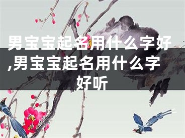 男宝宝起名用什么字好,男宝宝起名用什么字好听