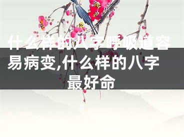 什么样的八字呼吸道容易病变,什么样的八字最好命