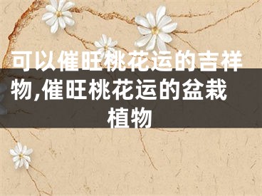 可以催旺桃花运的吉祥物,催旺桃花运的盆栽植物