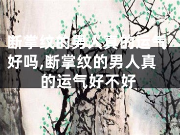断掌纹的男人真的运气好吗,断掌纹的男人真的运气好不好