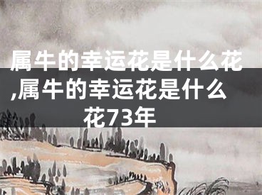 属牛的幸运花是什么花,属牛的幸运花是什么花73年