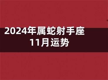 2024年属蛇射手座11月运势