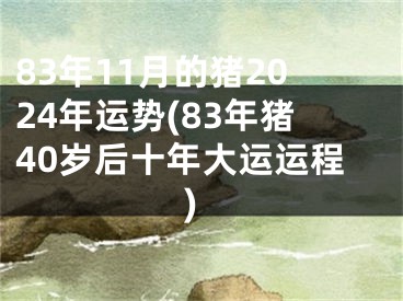 83年11月的猪2024年运势(83年猪40岁后十年大运运程)