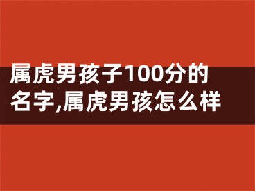属虎男孩子100分的名字,属虎男孩怎么样