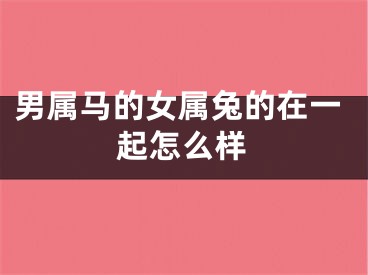 男属马的女属兔的在一起怎么样