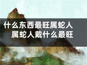 什么东西最旺属蛇人 属蛇人戴什么最旺