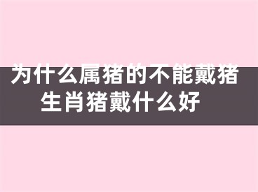为什么属猪的不能戴猪 生肖猪戴什么好